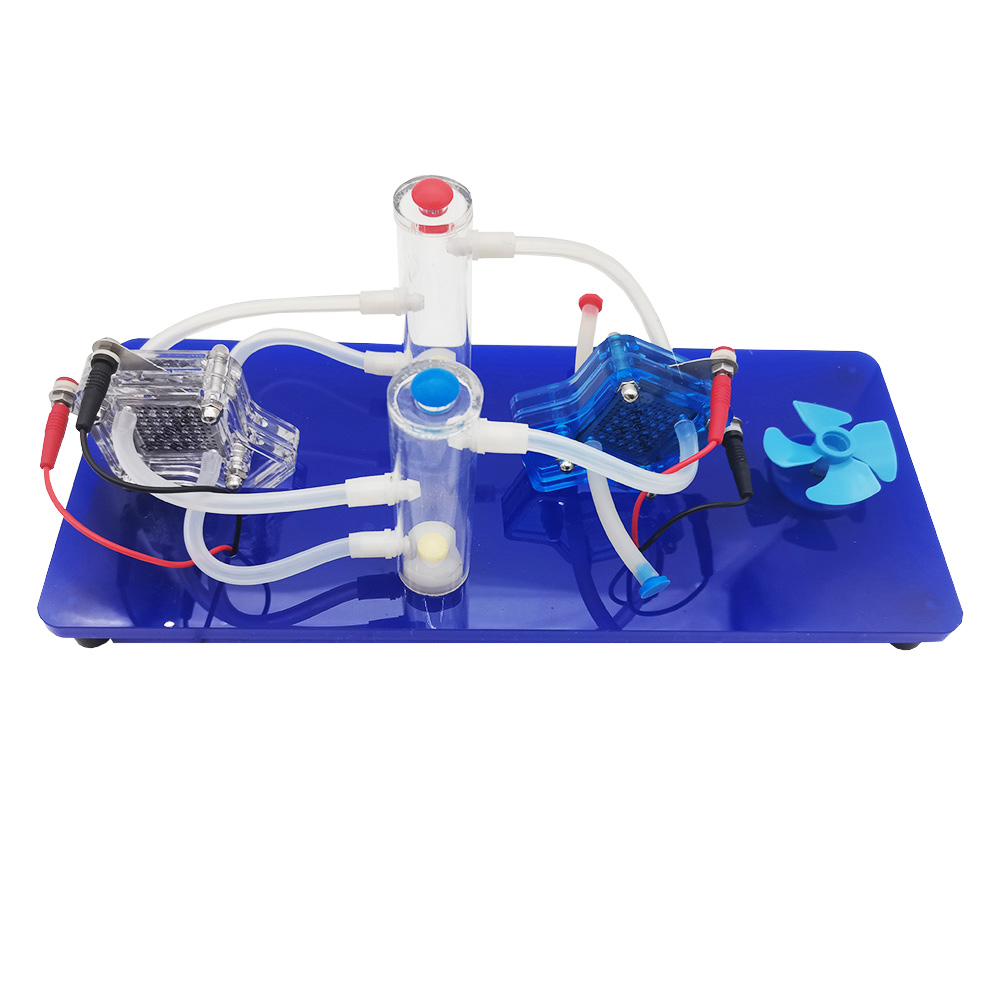 MS812-A4 Hydrogen Fuel Cell De - Renewable Energy Hydrogen review and price